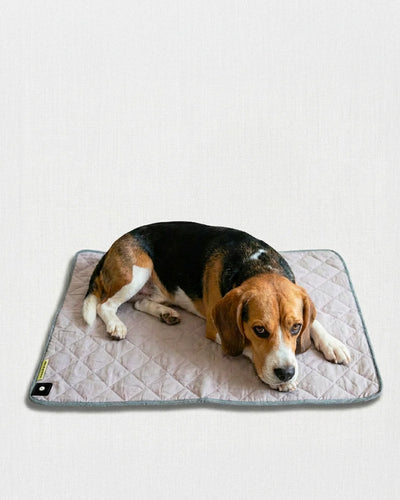Grounding Pet Mat