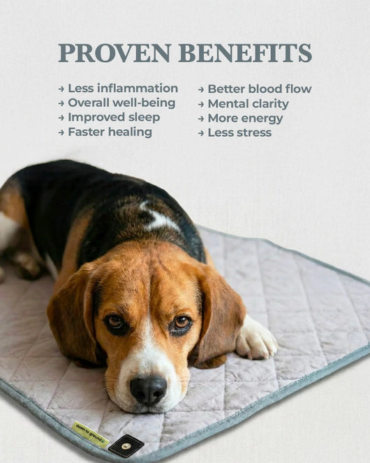Grounding Pet Mat