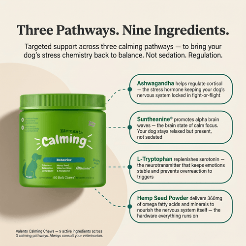 Calming Chews - 3-Pathway Nervous System Support
