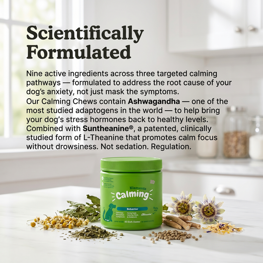 Calming Chews - 3-Pathway Nervous System Support