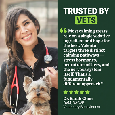 Calming Chews - 3-Pathway Nervous System Support