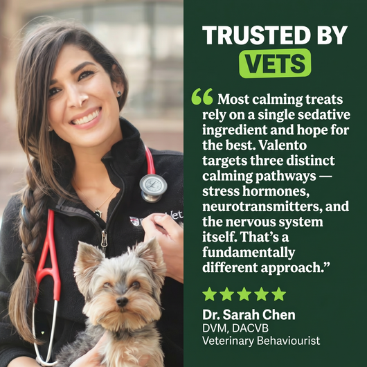 Calming Chews - 3-Pathway Nervous System Support