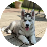 Jessie M