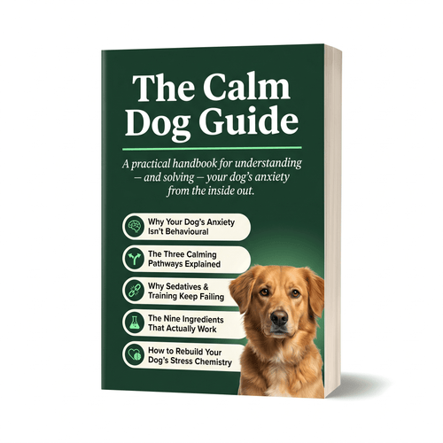 The Calm Dog Guide
